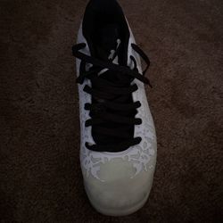 Zion willliamson basketball shoes 