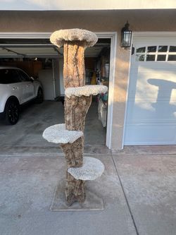 Tall Multi-Level Cat Tree Tower