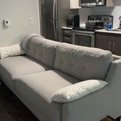 Light Grey Couch (under 1 year of usage)