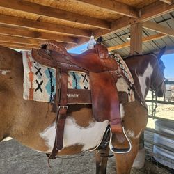 15in Western Cleburn Saddle