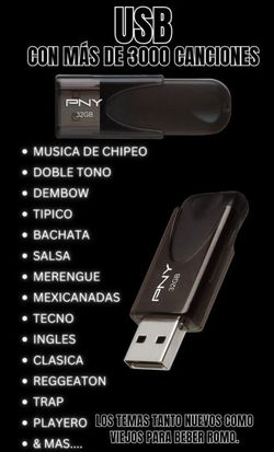 PNY 32GB USB Flash Drive with Music
