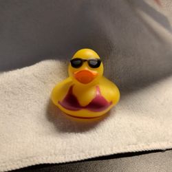 Bikini Duck