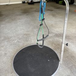 Dog Grooming Stand