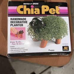 Puppy Chia Pet 