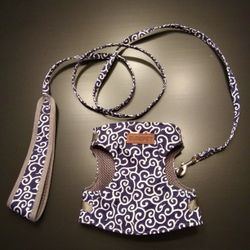 Surepet Harness and Leash Set