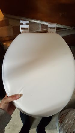 Toilet seat-cushiony type