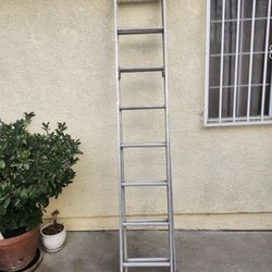 Werner Ladder 