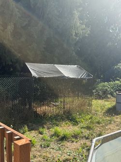 Outdoor Dog Kennel