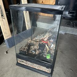 Small Glass Terrarium 