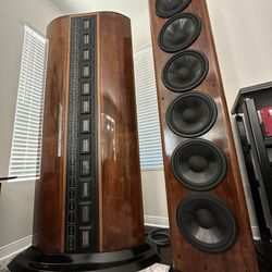 Infinity IRS V  Reference Speakers