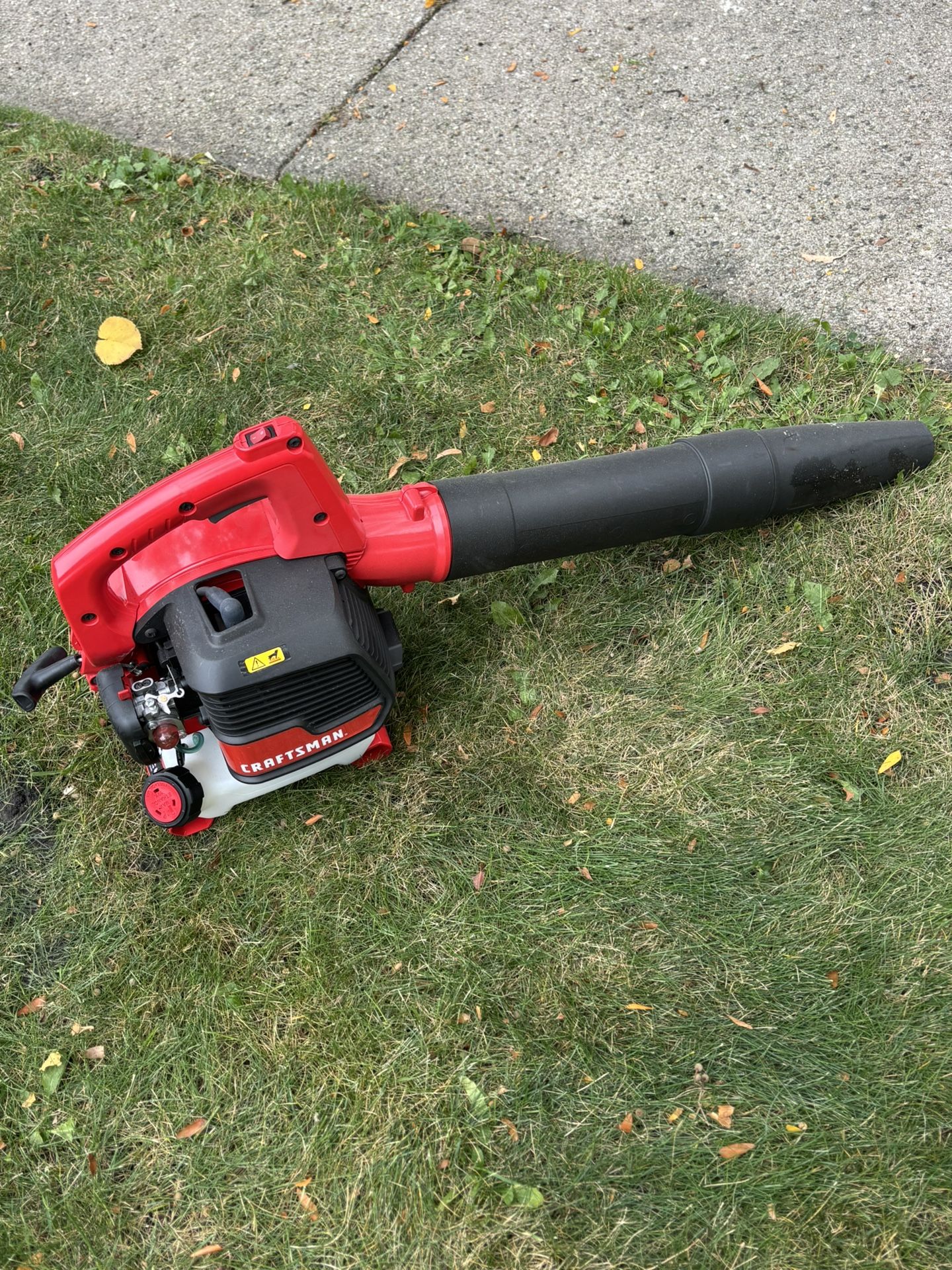 Gas Leaf Blower