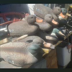 Duck Decoys