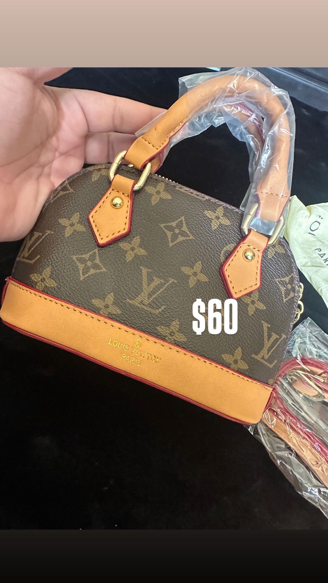 LV Mini Bag