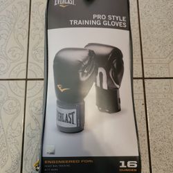 Everlast Boxing Training Gloves