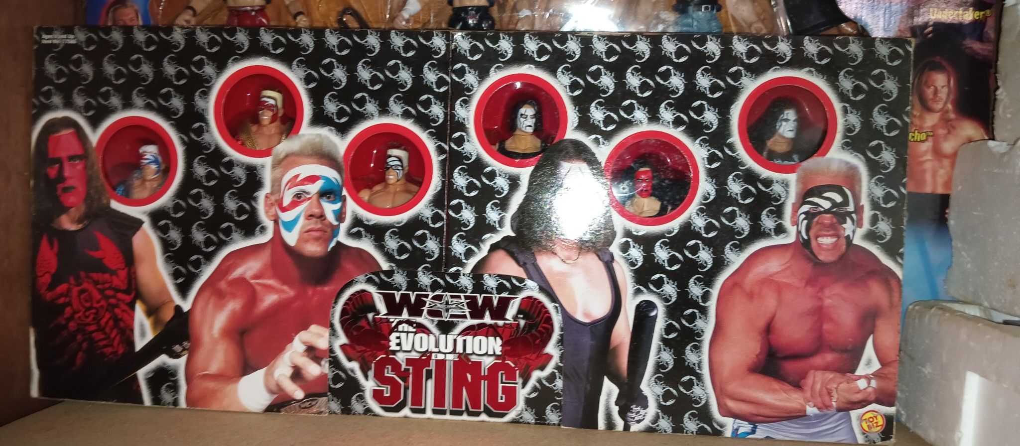 WWF/WCW Sting