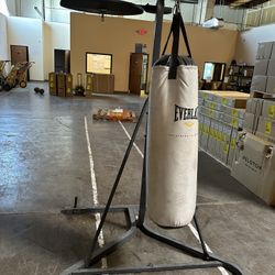 Everlast Punching Bag