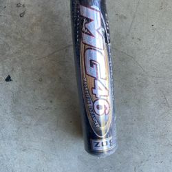 Baseball Bat Worth MG 46