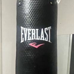 Everlast Cardio Blast Bag