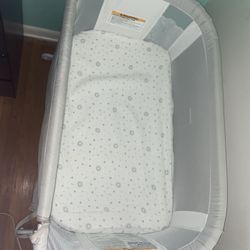 Baby Delight Bassinet