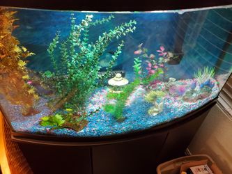 42 Gallon Bow Front Aquarium And Stand