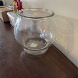 Fish Tanks 