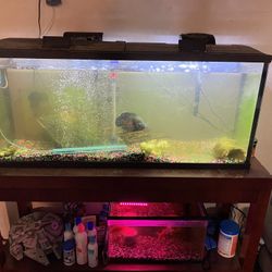 50 Gallon Fish Tank With Stand And All Equipment 