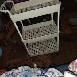 Baby Rolling Cart. 🛒🛒