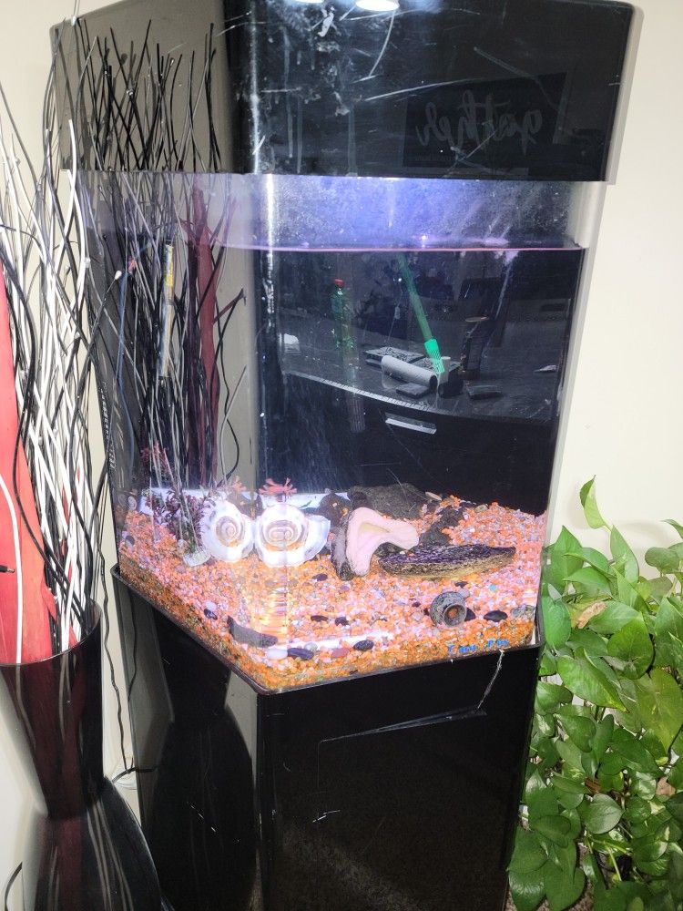 Octagon Acrylic Aquarium  with stand