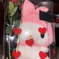 Valentine’s Day Gift