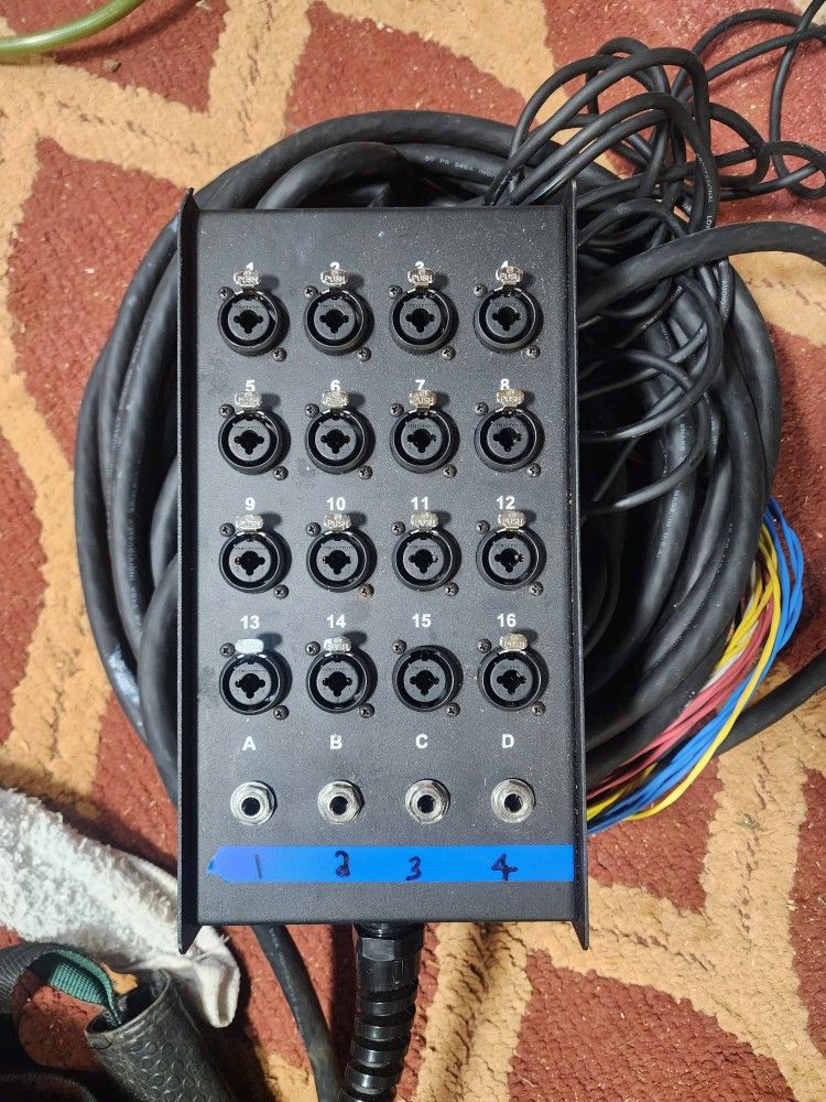 Live Wire 16x4 Snake & More