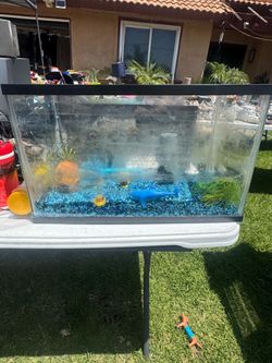 Fish tank