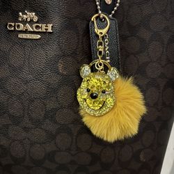Pooh Bear Disney Key Chain 