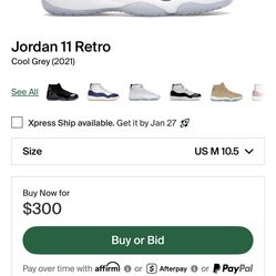 Jordan 11 (Cool Grey)