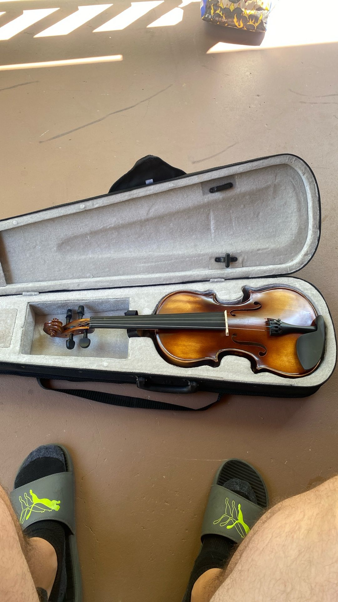 Violin