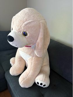 Toy