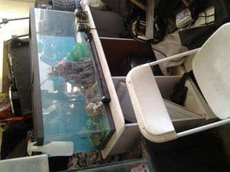 Fish tank and stand