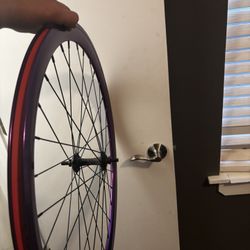 Fixie Wheel 