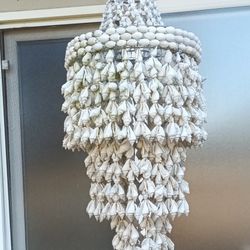 Beautiful Shell Wind Chime