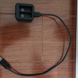 Go Pro Enduro Battery And Charger With Case