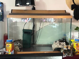 Aquarium Reptile Tank