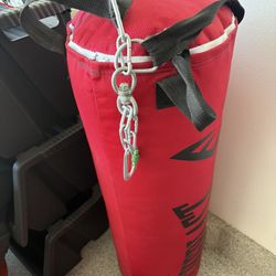 Punching Bag
