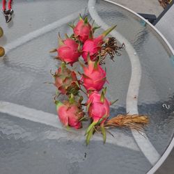 Dragonfruit