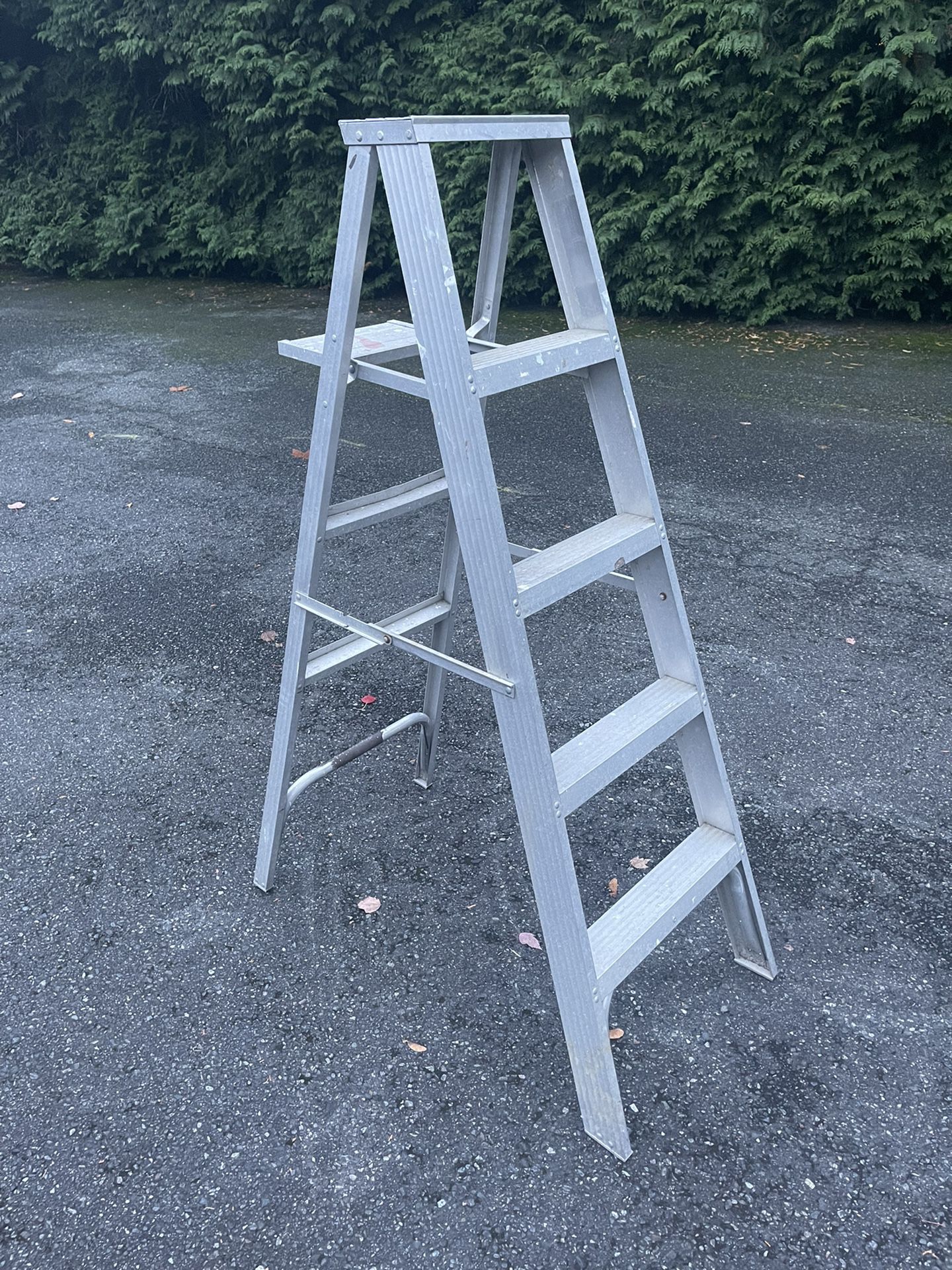 5’ Aluminum Ladder