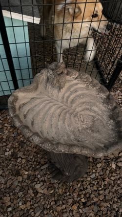 Concrete Stone Bird Bath