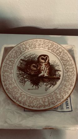 Don Whitlatch Owl Collector Plate