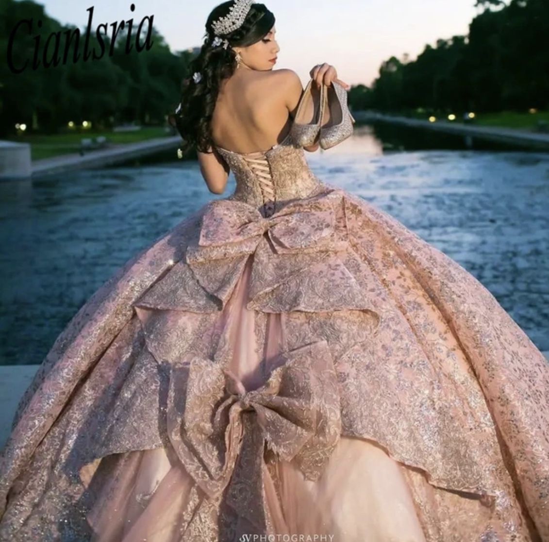 Beautiful Prom/Quinceanera Dress