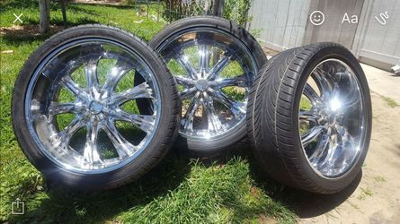 Baratos como la carne de gatos 🐱