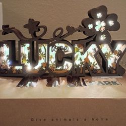 New- 3D Wooden Craving LED Night Light ( LUCKY )