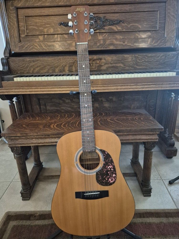 Aspen Acoustic Guitar
