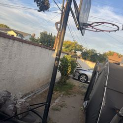 Basketball Hoop